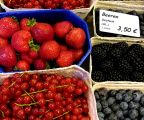 Beeren.jpg