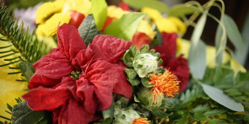 Alles, was Weihnachten schöner macht gibt es bei Bauernhof Kitz